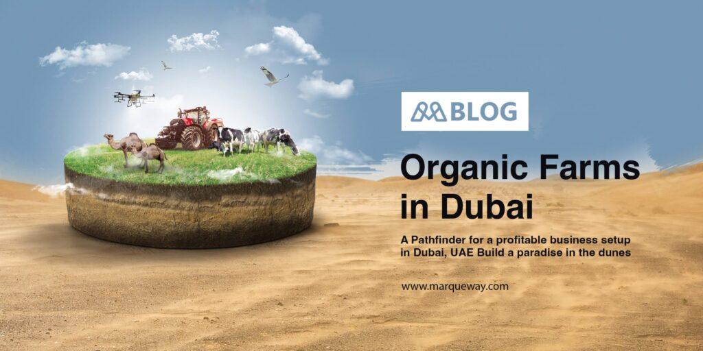 Organic Farms in Dubai: A Pathfinder for a profitable business setup in Dubai, UAE